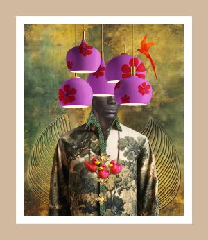 The Colors of Marcellus